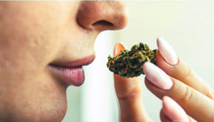 Tricky tips to hide the smell of marijuana